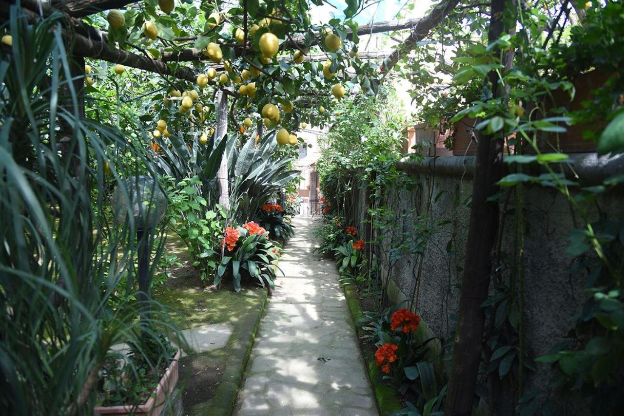Bed and Breakfast Anthea Sorrento Esterno foto