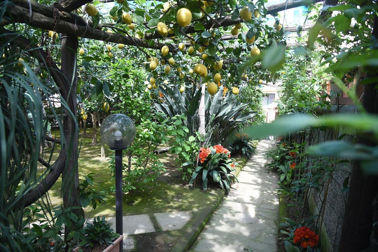 Bed and Breakfast Anthea Sorrento Esterno foto